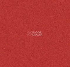 Линолеум Forbo Bulletin Board 2210 hot salsa фото 1 | FLOORDEALER